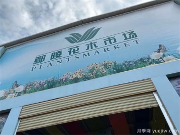 鄢陵县花木产业未必能想到的那些问题