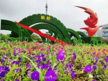 上海松江这里的花坛、花境“上新”啦!特色景观升级!