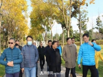 提升城市园林绿化，苏州向上海学什么？